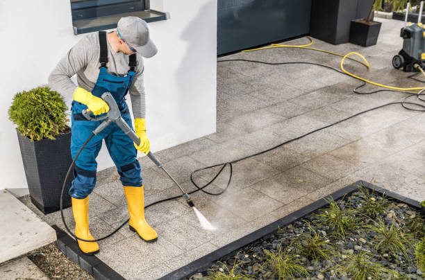 Best Affordable Power Washing  in Linden, AZ